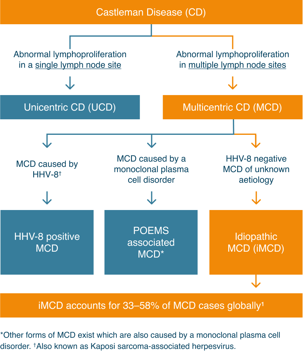 Diagram showing information about Castleman Disease