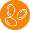 Anaemia icon